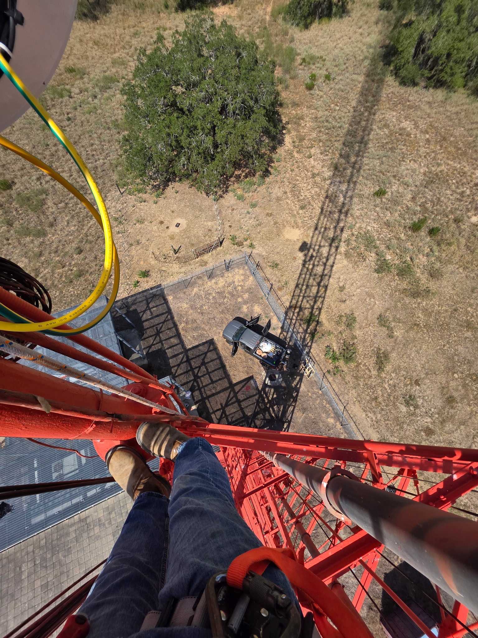 View from tower